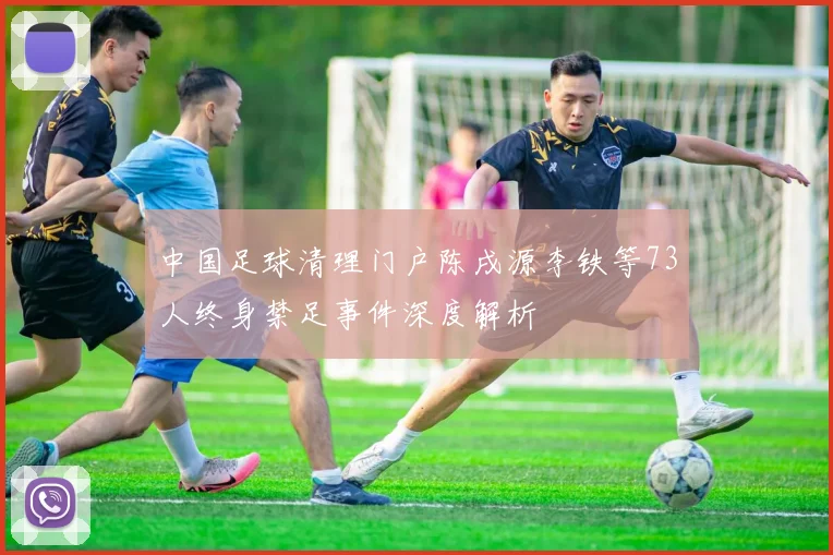 中国足球清理门户陈戌源李铁等73人终身禁足事件深度解析