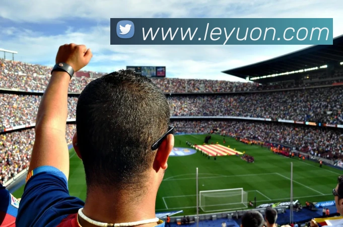 多媒体互动体验