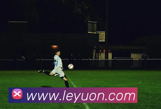 乐鱼体育APP 体育赛事宣传图